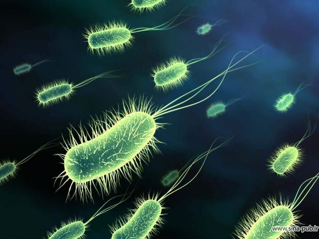 نانوذرات لبه تیز باکتری های مقاوم در برابر آنتی بیوتیک را از بین می برند