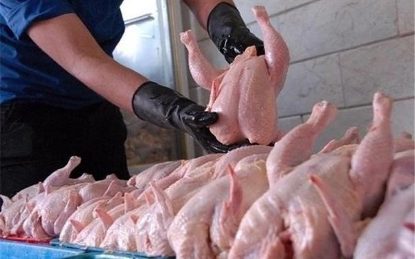 کاهش قیمت گوشت مرغ گرم در میادین میوه و تره بار تهران