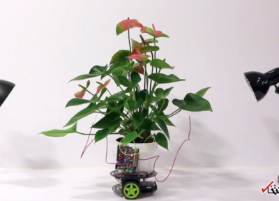 با روبات باغبان آشنا شوید ، ثبت علائم حیاتی گیاه ، تغییر جای گلدانها به سمت نور (طراحی ویلا)