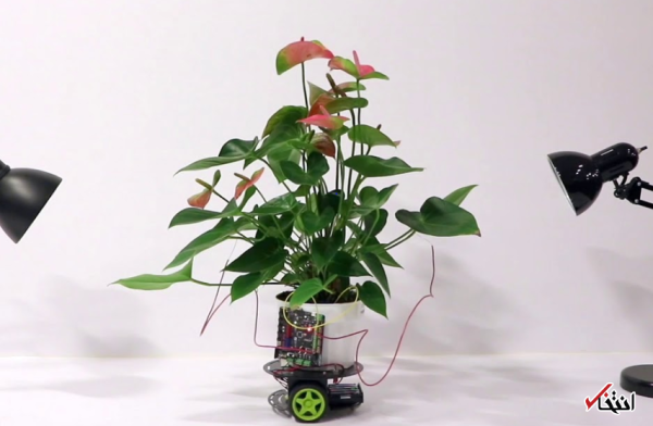 با روبات باغبان آشنا شوید ، ثبت علائم حیاتی گیاه ، تغییر جای گلدانها به سمت نور (طراحی ویلا)